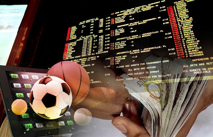 Explore the Exciting World of Rara Bet