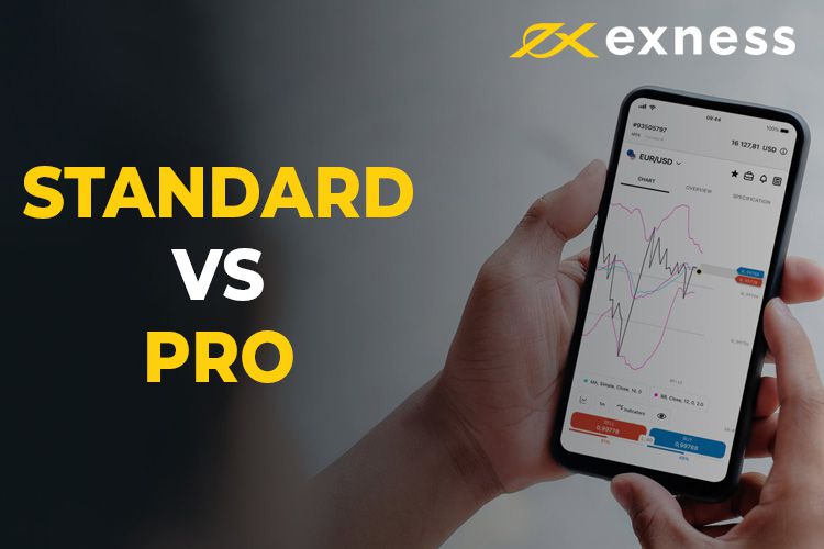 Exness Contact Your Gateway to Efficient Trading Support