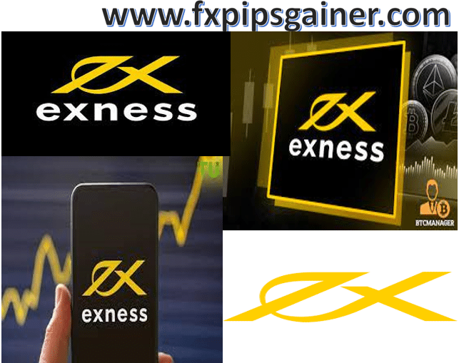 Comprehensive Guide to Exness Trading Platform 2
