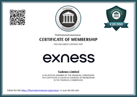 Your Ultimate Guide to Trading with Exness 6